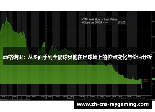 西格诺里:从多面手到全能球员他在足球场上的位置变化与价值分析 西格诺里:从多面手到全能球员他在足球场上的位置变化与价值分析