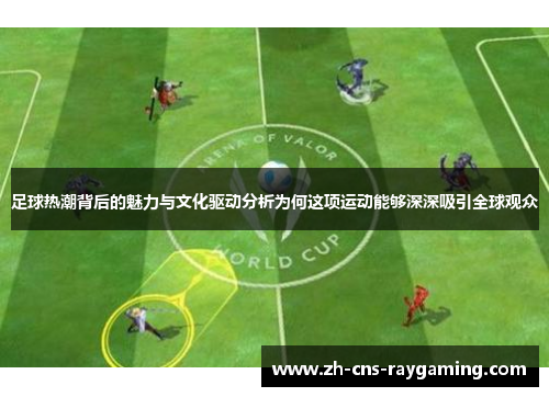 足球热潮背后的魅力与文化驱动分析为何这项运动能够深深吸引全球观众