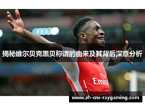 揭秘维尔贝克黑贝称谓的由来及其背后深意分析